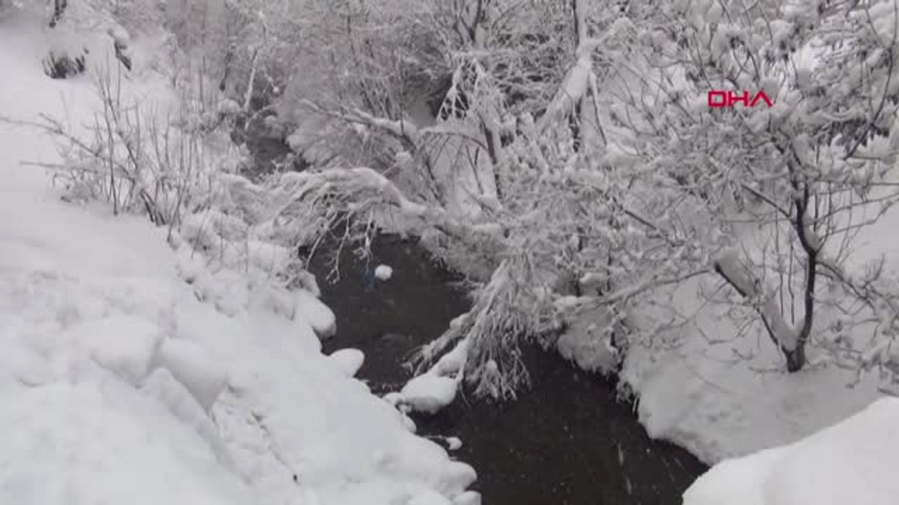 Van, Bitlis ve Hakkari'de 970 Yerleşim Biriminin Yolu Kapalı-Bitlis