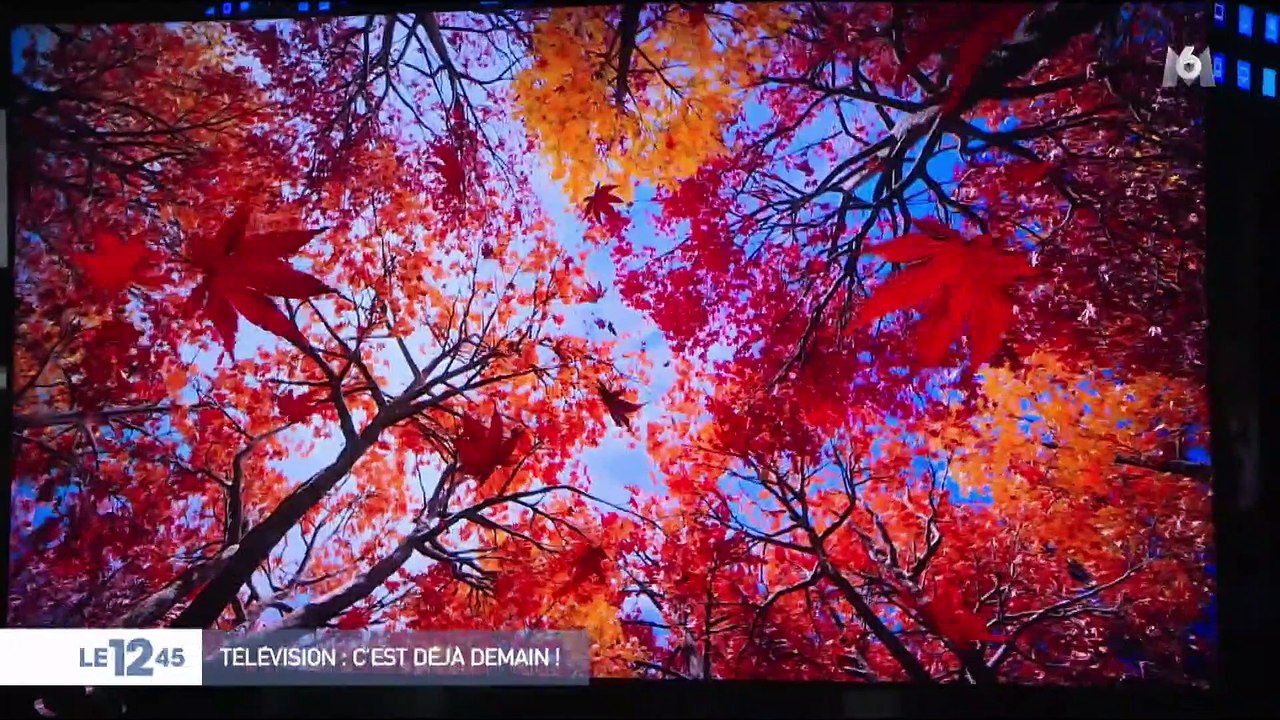 CES 2019 : 8K ou enroulable, l'écran TV de demain s'affiche à Las Vegas