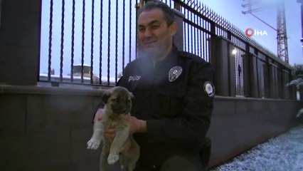 Bir tarafta vahşet, diğer tarafta şevkat