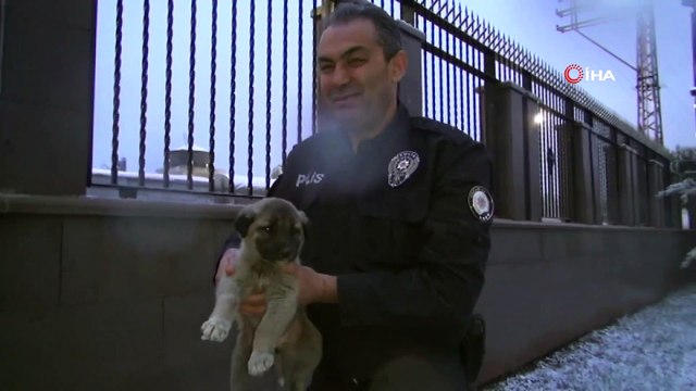 Bir tarafta vahşet, diğer tarafta şevkat