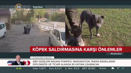 Köpek saldırmasına karşı önlemler