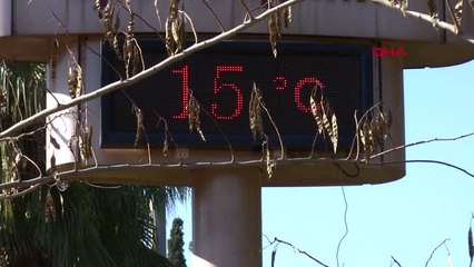 Adana Kışın Ortasında Adana'da Bahar Havası