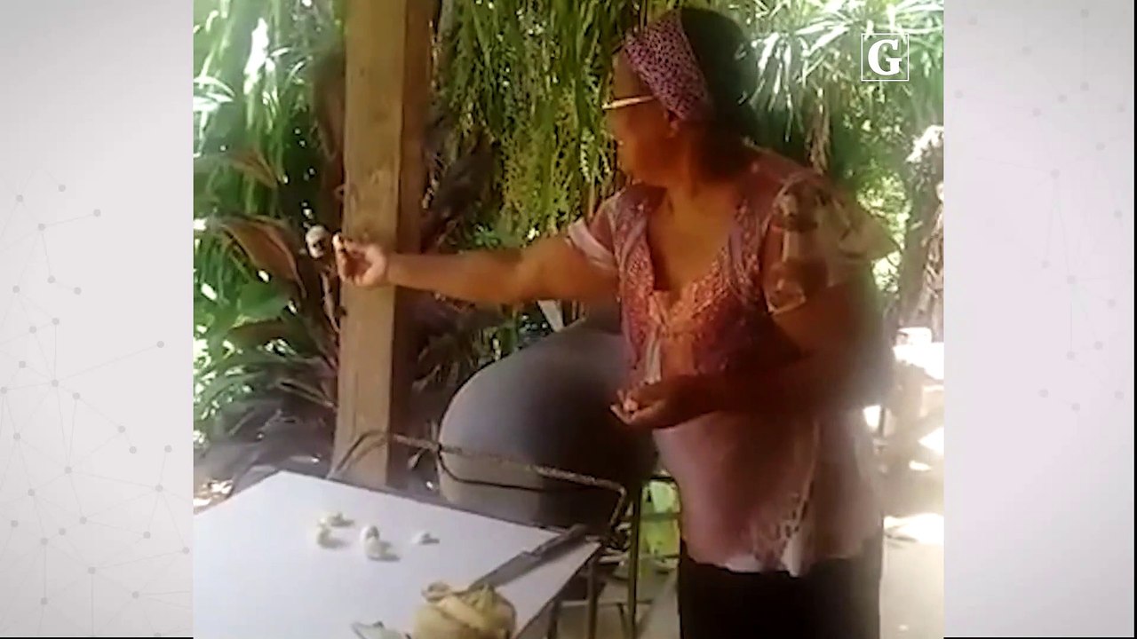 Dona de casa alimenta saguis no quintal de casa na Serra