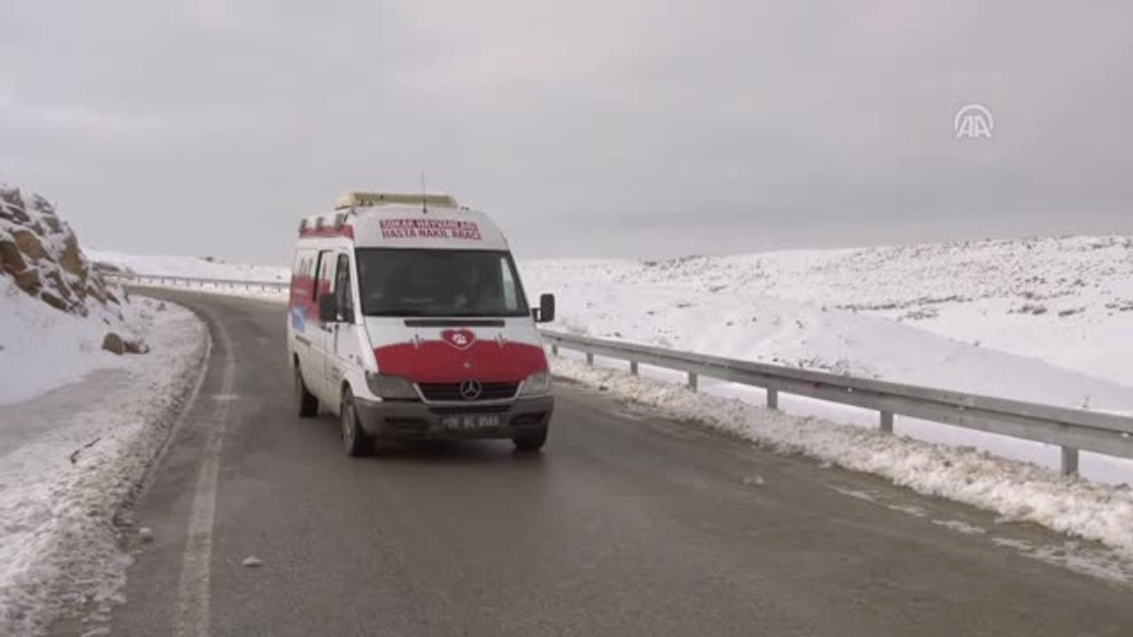 Sokak Hayvanları İçin 150 Ayrı Noktada Besleme Çalışması Yapıyorlar