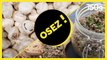 Osez... Les rillettes végétariennes aux champignons - 750g