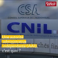 Les autorités administratives indépendantes : qu'est-ce que c'est ?