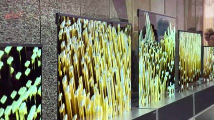 Telas flexíveis são esperança na indústria de tecnologia