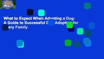 What to Expect When Adopting a Dog: A Guide to Successful Dog Adoption for Every Family