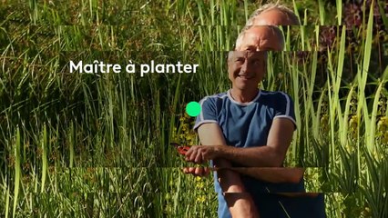 [BA] Intemp Silence, ça pousse ! - le 11/01