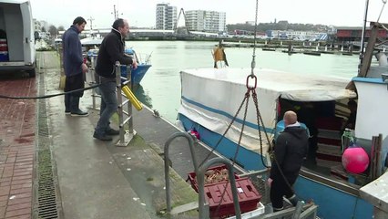 Bateaux volés par des passeurs: colère des pêcheurs de Boulogne