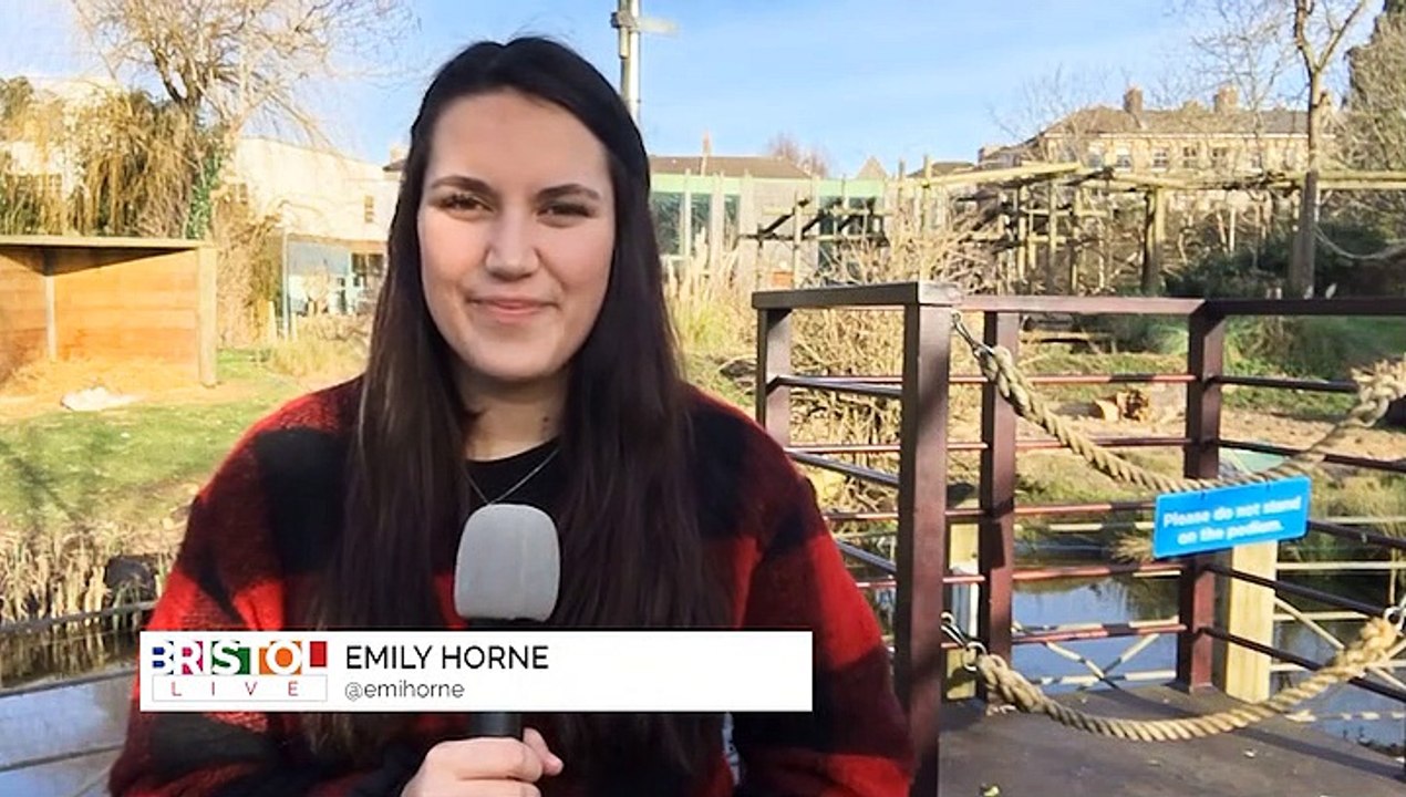 WEATHER: January 10th 2019