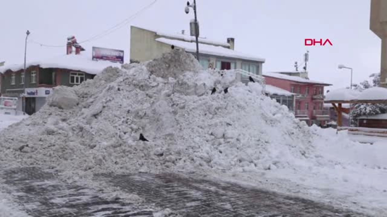 Muş Doğu'da Çok Sayıda Köy Yolu, Ulaşıma Kapandı