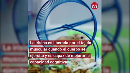 Hacer ejercicio podría disminuir el Alzheimer