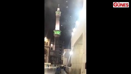 Kabe çekirgelerin istilasına uğradı