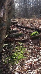 Brian Ghilliotti: Haddam, Connecticut, Lithic Site: Perched Stone