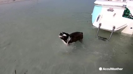 Florida basks in the warm weather