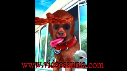 Les Snouksis - Pitou