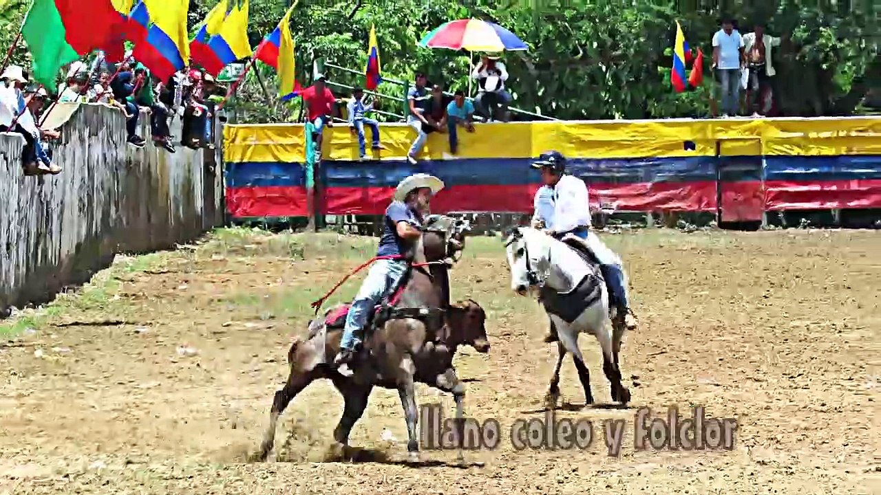 EL COLEO UNA  FAENA DE LOS LLANEROS