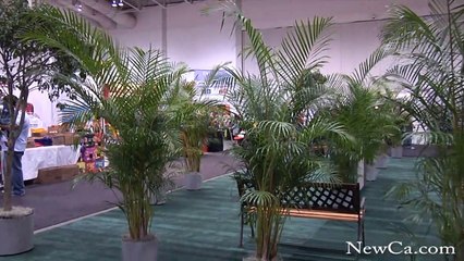 2008 Style at Home Show: For the First Time in Toronto (HD)