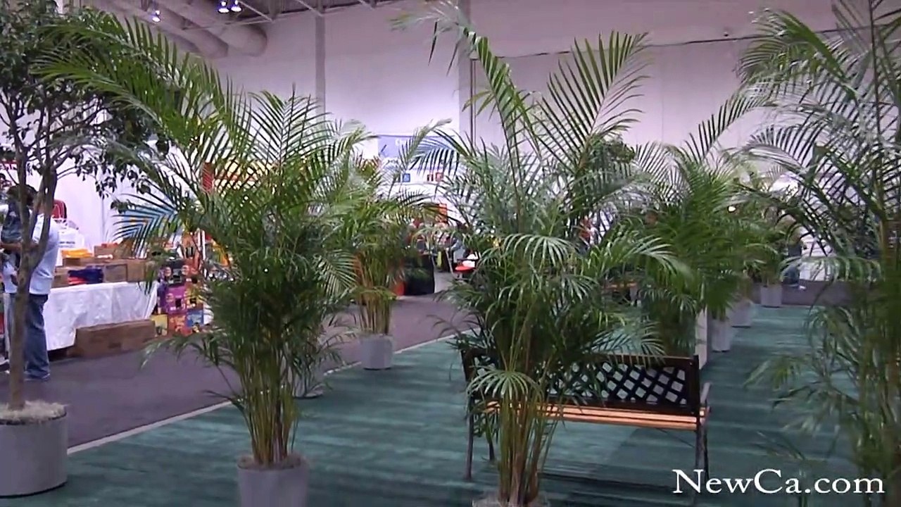 2008 Style at Home Show: For the First Time in Toronto (HD)