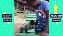 TRY NOT TO LAUGH Cute Kids VS. Animals Fails Compilation Funny Vines Videos July 2018