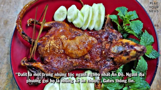 Thịt chuột món ăn đặc sản của nhiều quốc gia trên thế giới