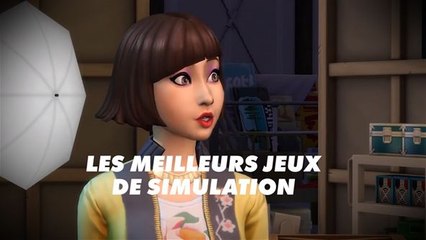 Voici notre top 5 des meilleurs jeux de simulation en 2019