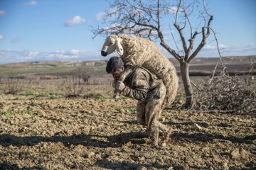 Çamura Saplanan Hayvanlar İçin Seferber Oldular
