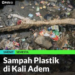 Sampah Plastik di Kali Adem