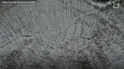 The Effects Of A Vitamin D Deficiency