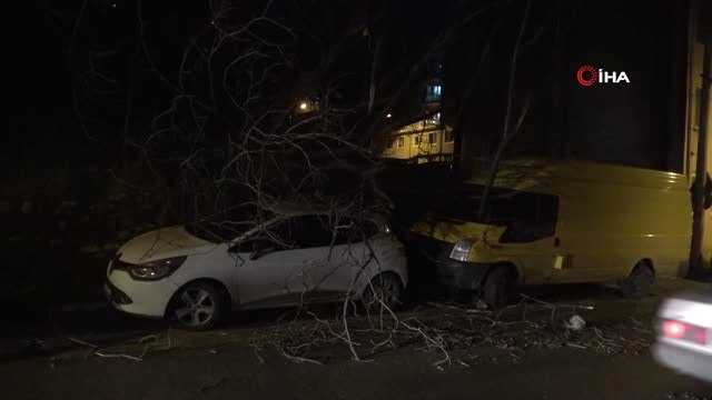 Bursa'da Fırtına Çatıları Uçurdu, Ağaçları Devirdi