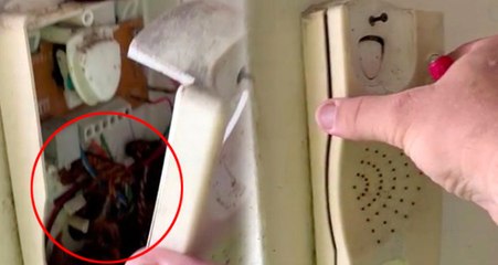 Duvara Asılı Sabit Telefonun İçinden Onlarca Hamam Böceği Çıktı