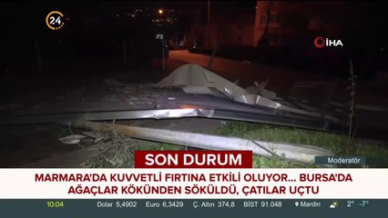 Bursa'da ağaçlar kökünden söküldü