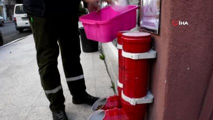 Sokak Hayvanları İçin Su Borusundan Bitmeyen Mama Kabı Yaptı