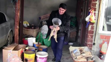 - Yaralı köpek yavrusunu muhtar sahiplendi