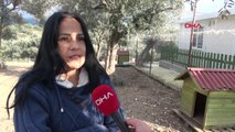 İzmir Ölmek Üzereyken Bulunan Sıpa, 'Ahbap' Sayesinde Yaşama Tutundu
