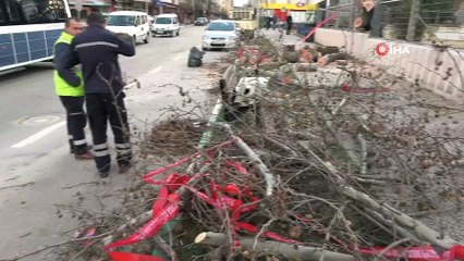Lodosun şiddeti gün ağarınca ortaya çıktı