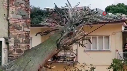 Devrilen anıt ağaç evin çatısını yıktı