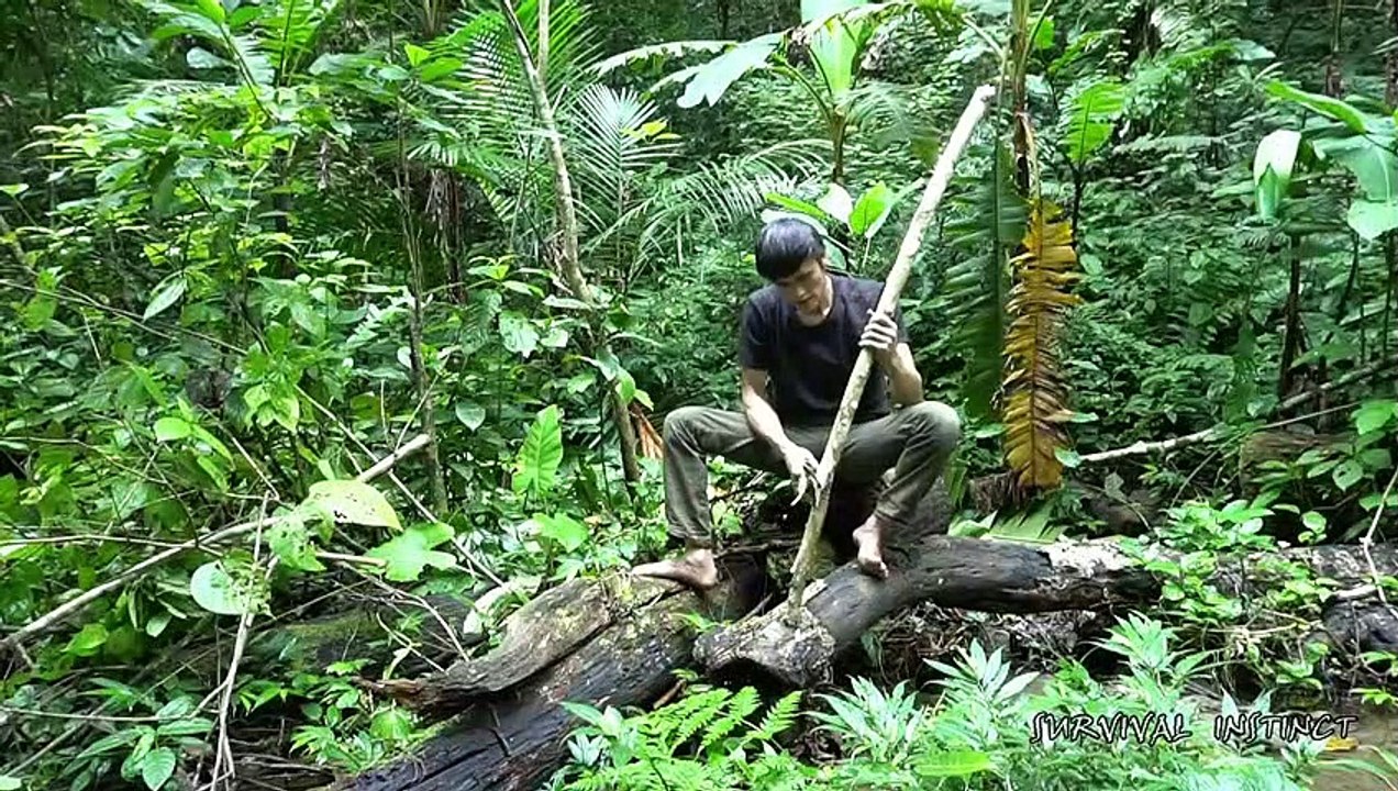 Survival Instinct - How to make bow and arrows