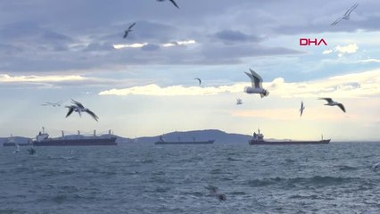 İstanbul- İstanbul'da Lodosta Martıların Dalgalarla Dansı