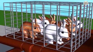 Learn Colors Learn Wild Animals Help Cage Farm Animals Baby Rabbit Drop Cartoon for Children