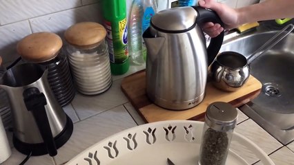 EN PRATİK NANE LİMON