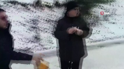 Başıboş köpekleri -13 derecede ormanlık alana bıraktılar