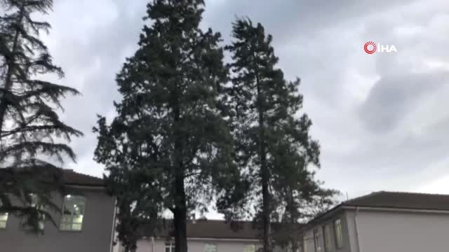 Akyazı'da Fırtına Ağaçları Devirdi, Çatıları Uçurdu