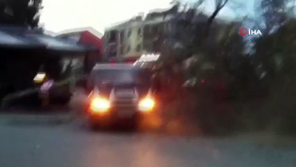 Ağaç ve elektrik direği kamyonetin üzerine böyle devrildi