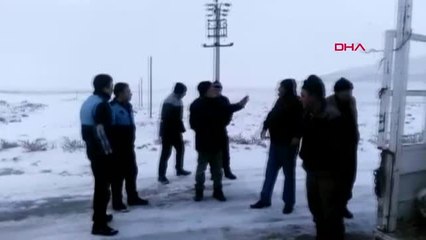 Konya Belediyenin Topladığı 'Kayıp Köpekler' İçin Soruşturma