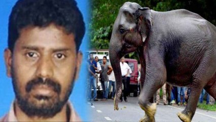 உயிர் பிரிவதற்கு முன்பு 2 குழந்தைகளை புதரில் வீசி காப்பாற்றிய தந்தை- வீடியோ