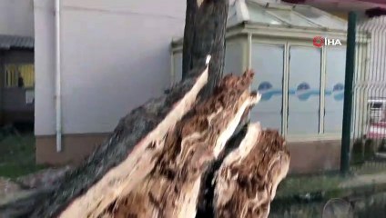 Akyazı’da Fırtına Ağaçları Devirdi, Çatıları Uçurdu