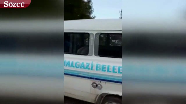 İller arası köpek transferleri sürüyor