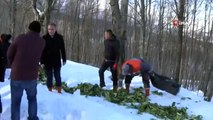 Karda aç kalan yaban hayvanları için doğaya yiyecek bıraktılar
